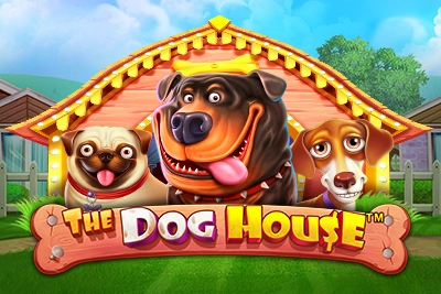The Doge House - Play After 1Win Login
